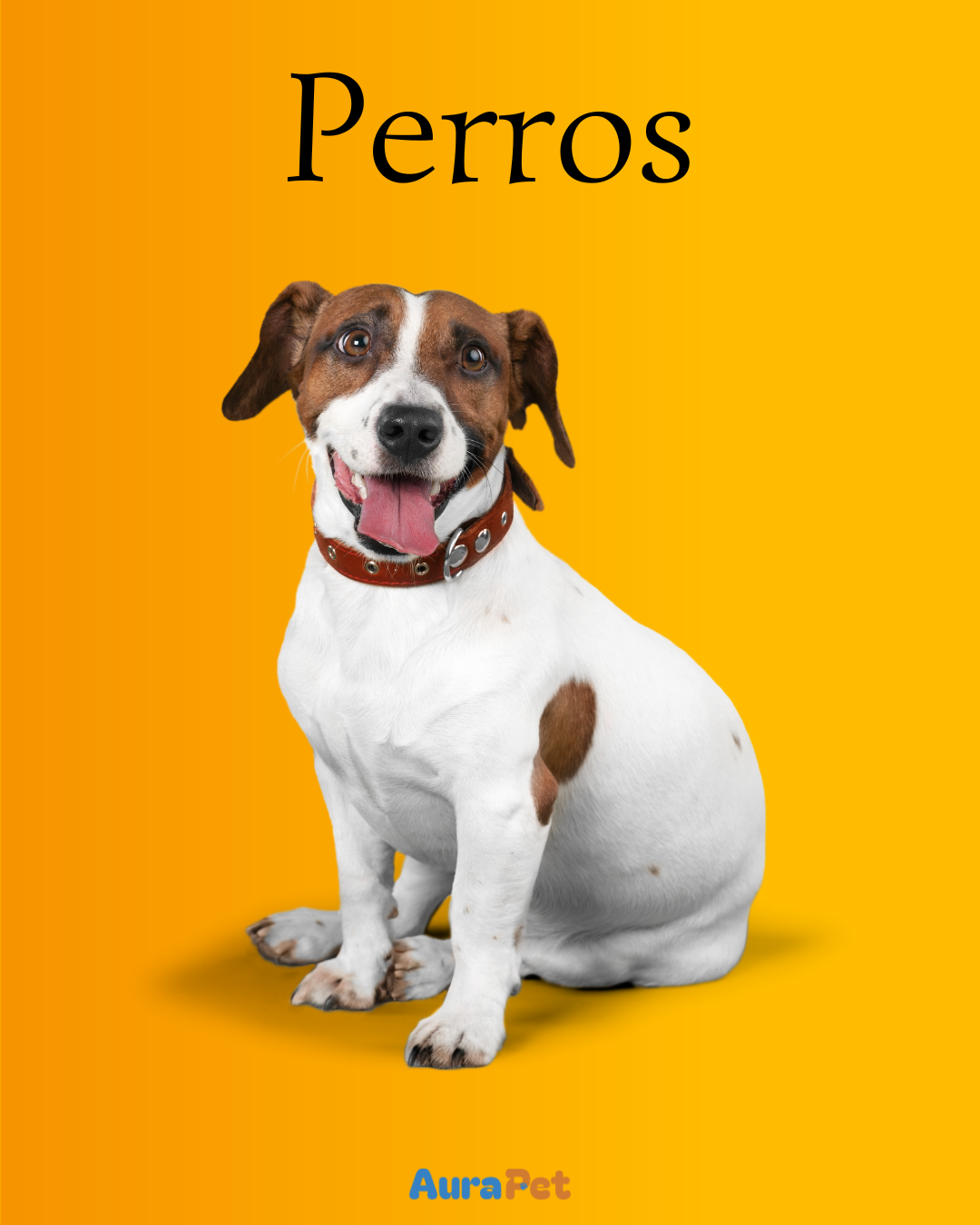 Perros