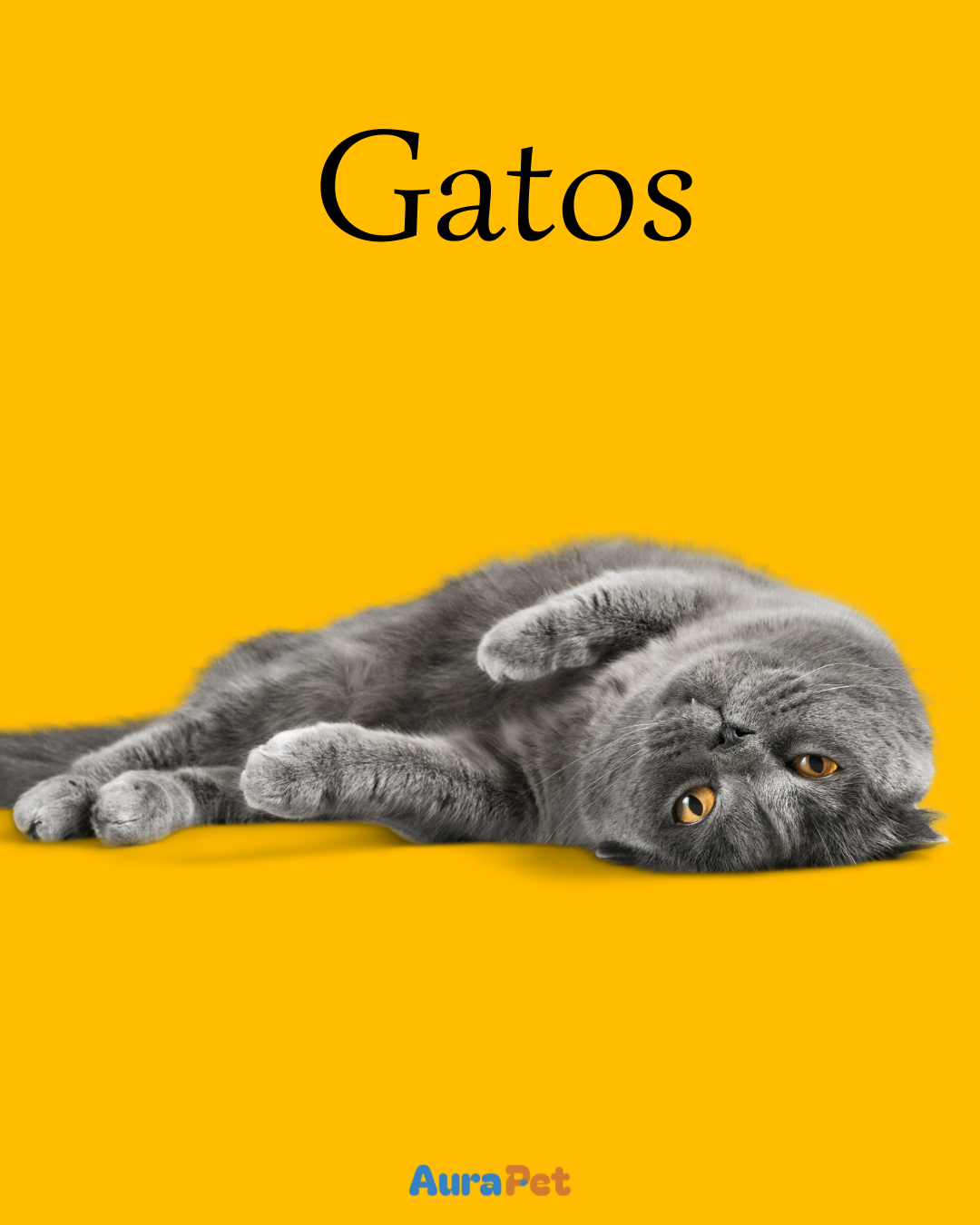 Gatos